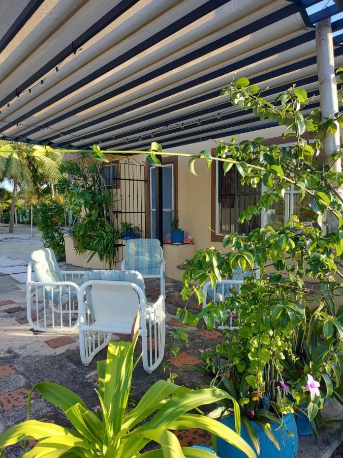Casa Ibiza Celestun别墅 外观 照片