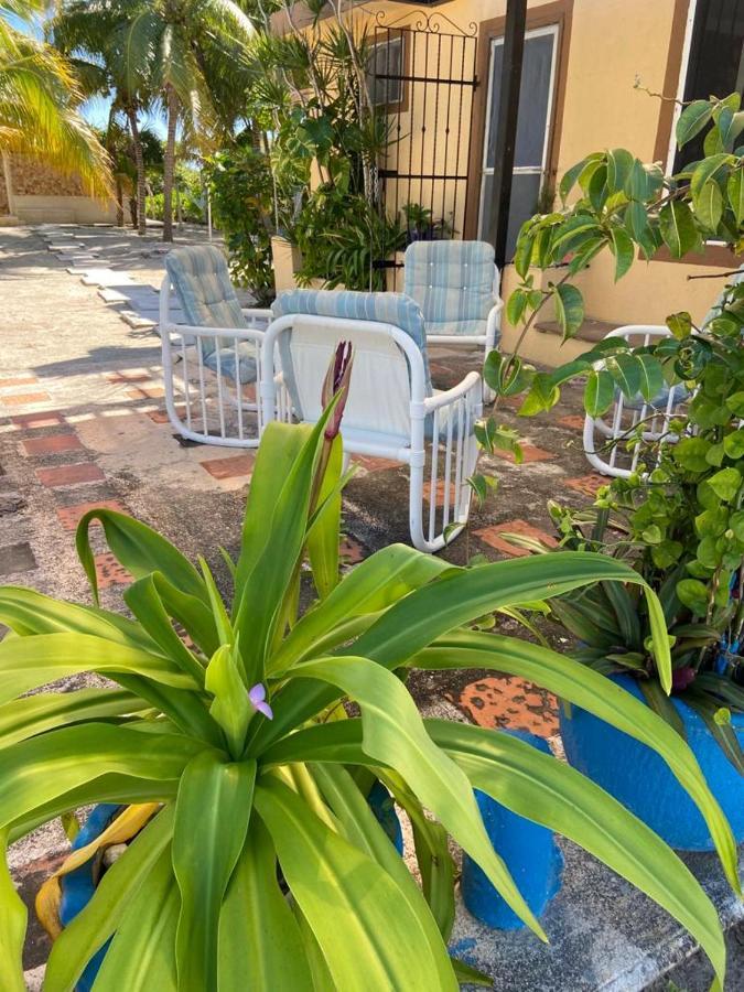 Casa Ibiza Celestun别墅 外观 照片